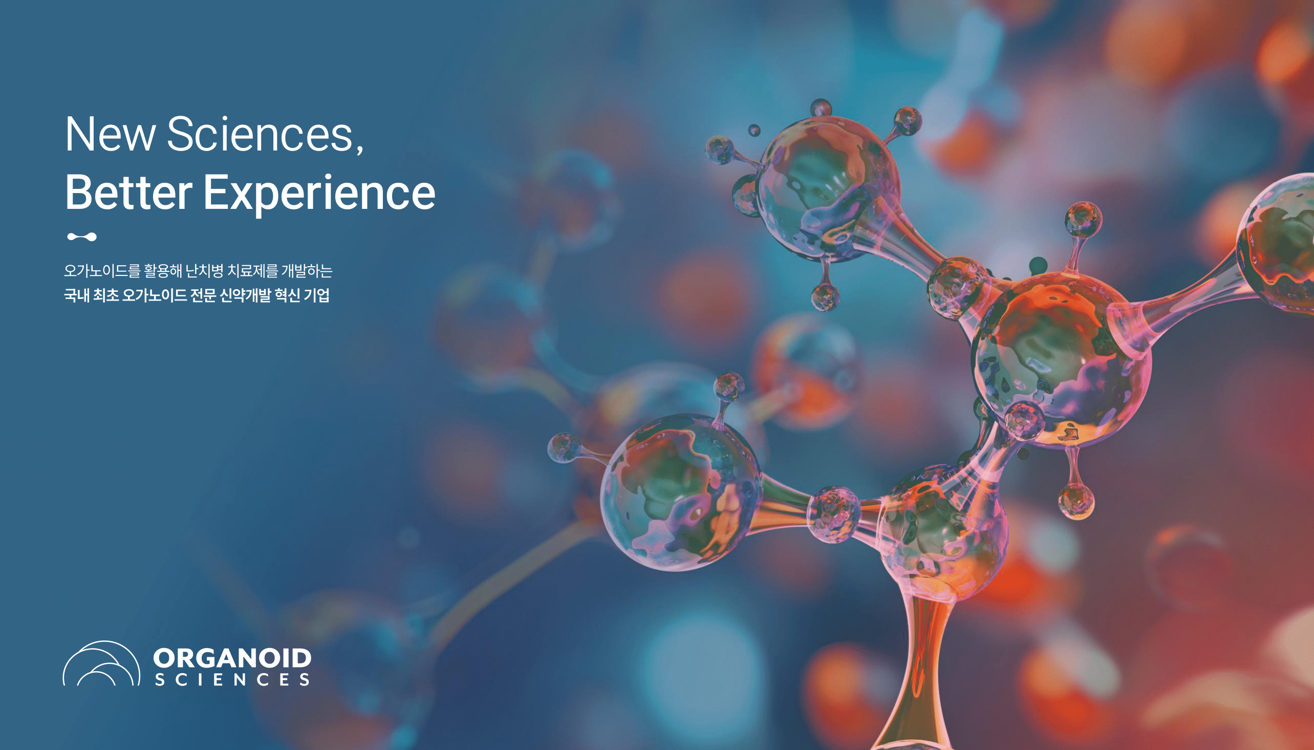 [신규상장] 오가노이드사이언스 - 증권사 리포트 요약 및 기업 IR BOOK